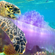 Illustration for article titled The Best Biology Photos Of 2014 Will Take You To Another World